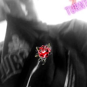 Meet your Posher, Jake